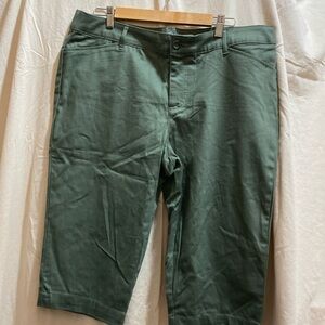Woman’s St. John’s Bay Cari size 18P green